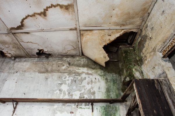 Cost of Water Damage Service in Boise
