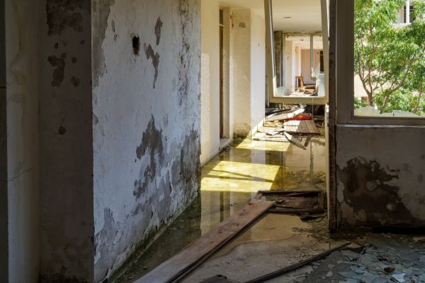 Cost of Water Removal Service in Boise