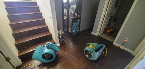 Cost of Water Damage Remediation in Boise