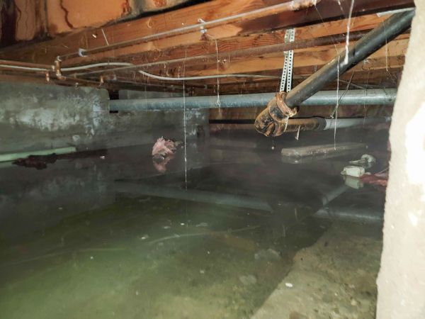 Cost of Water Mitigation Service in Boise